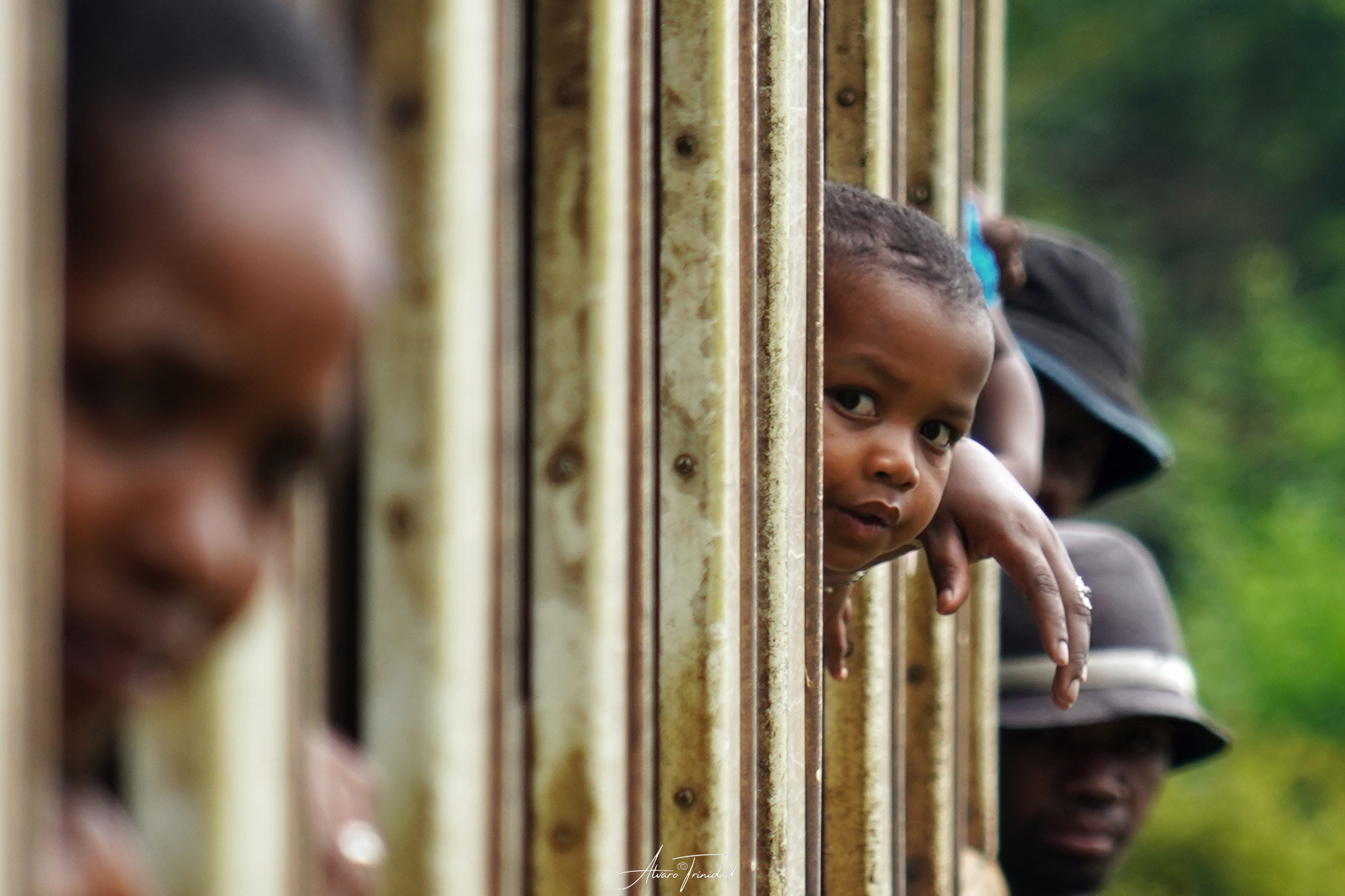 mirada_tren_madagascar